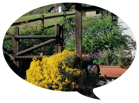 Blick vom Haus auf die Blüwi